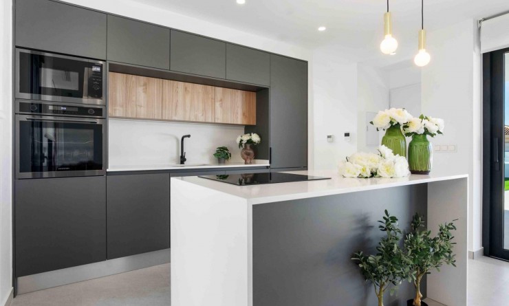 Nieuwbouw woningen - Villa - Rojales - Benimar