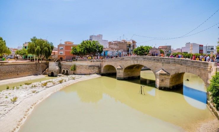 Nieuwbouw woningen - Villa - Rojales - Benimar