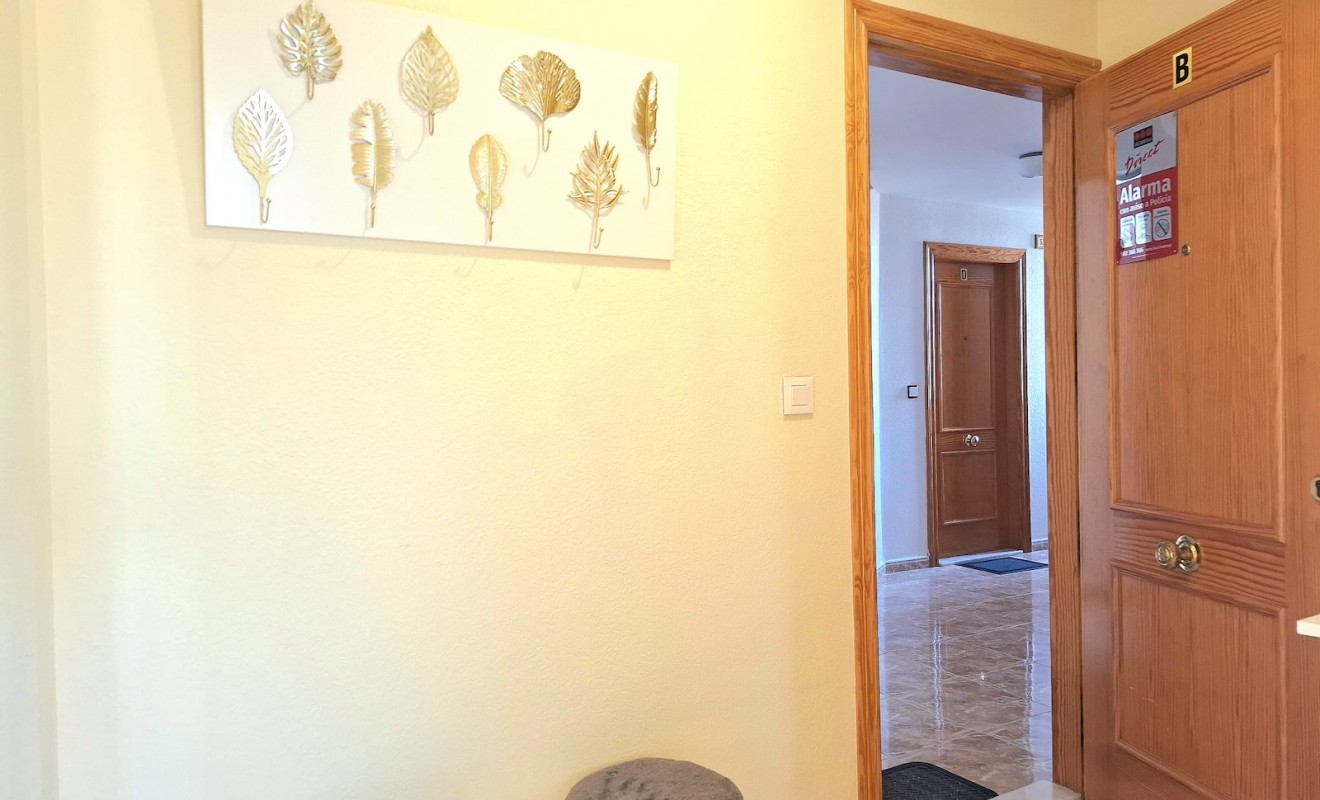 Wederverkoop - Apartamento - Torrevieja - Centro