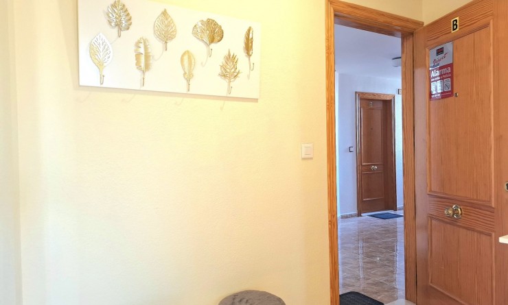 Wederverkoop - Apartamento - Torrevieja - Centro