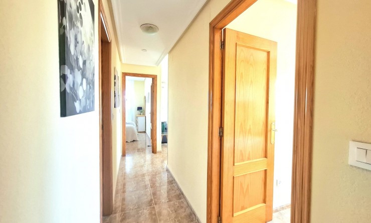 Wederverkoop - Apartamento - Torrevieja - Centro