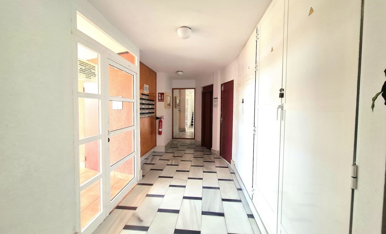 Wederverkoop - Apartamento - Torrevieja - Centro
