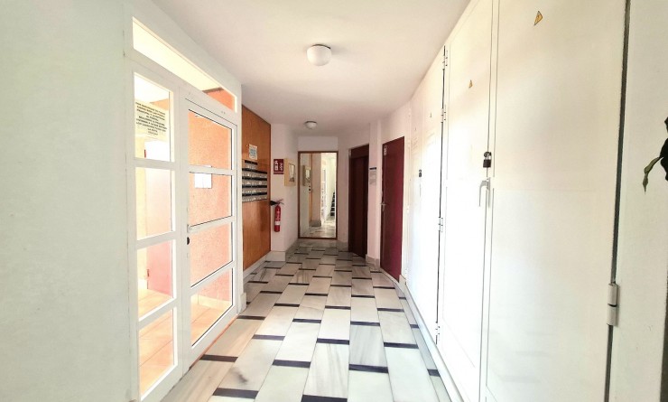 Wederverkoop - Apartamento - Torrevieja - Centro