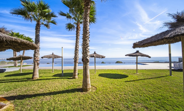 Sale - Apartamento - Torrevieja - Punta prima