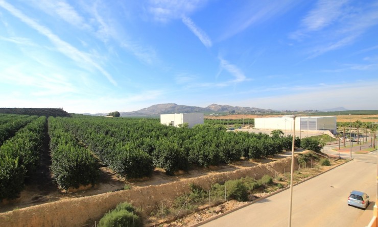 Sale - Apartment - Algorfa