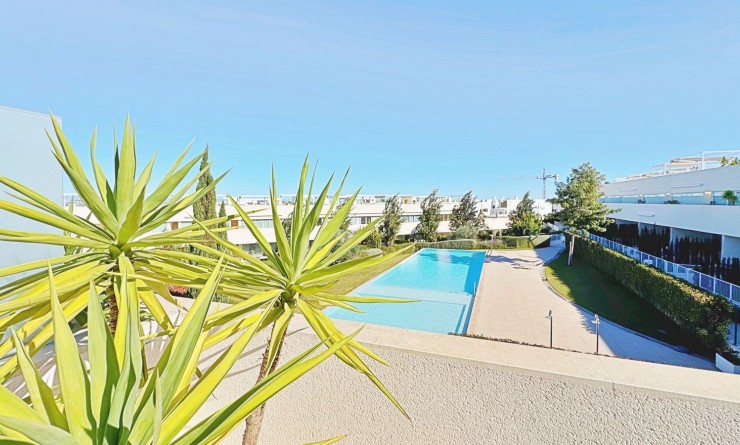 Sale - Penthouse - Torrevieja - Los balcones