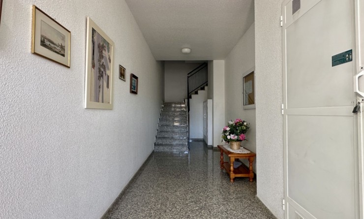 Sale - Apartment - Orihuela - Playa Flamenca