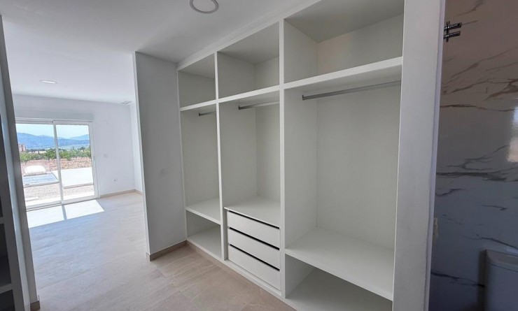 New Build - Villa - Pinoso - Camino Del Prado