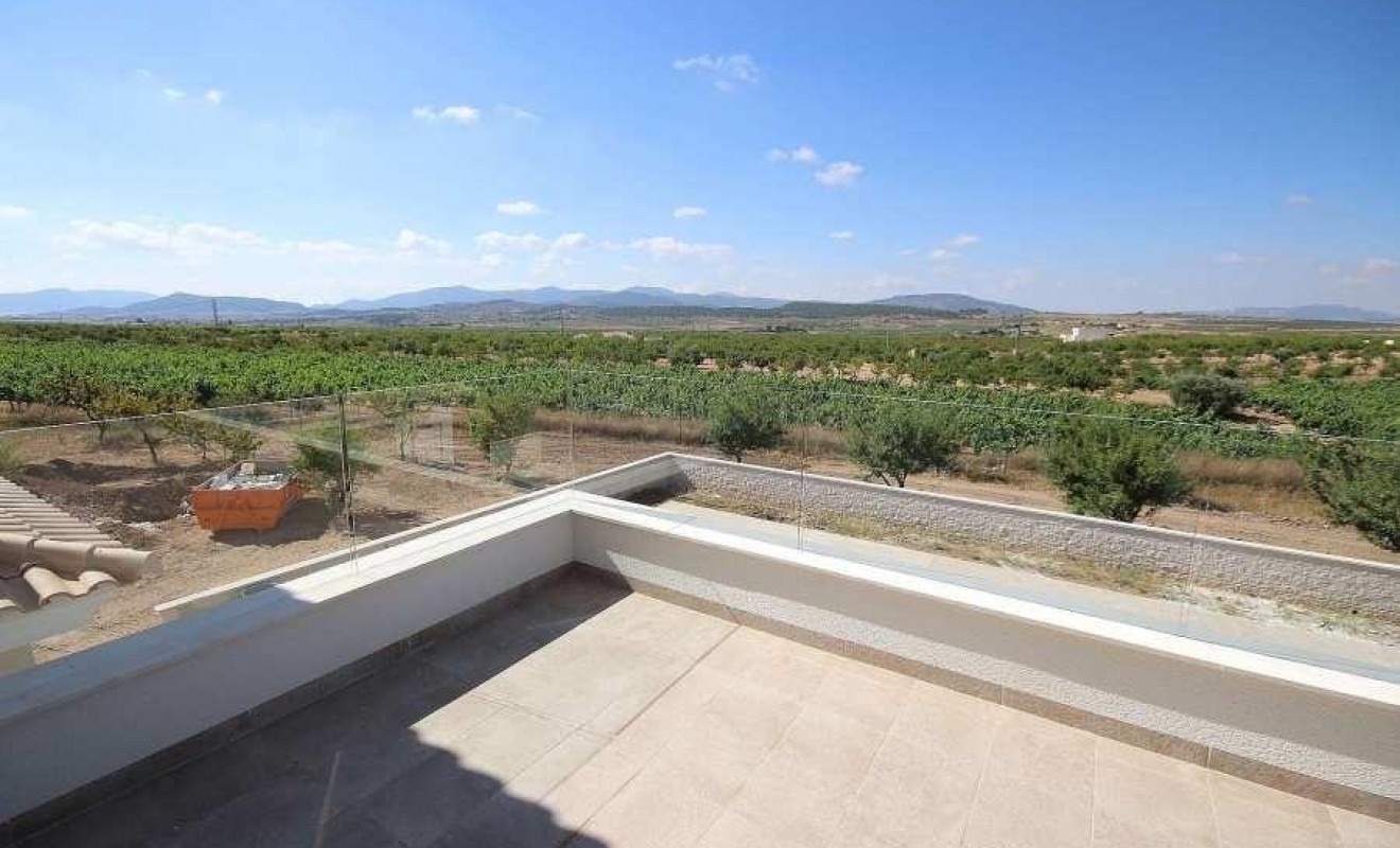 New Build - Villa - Pinoso - Camino Del Prado