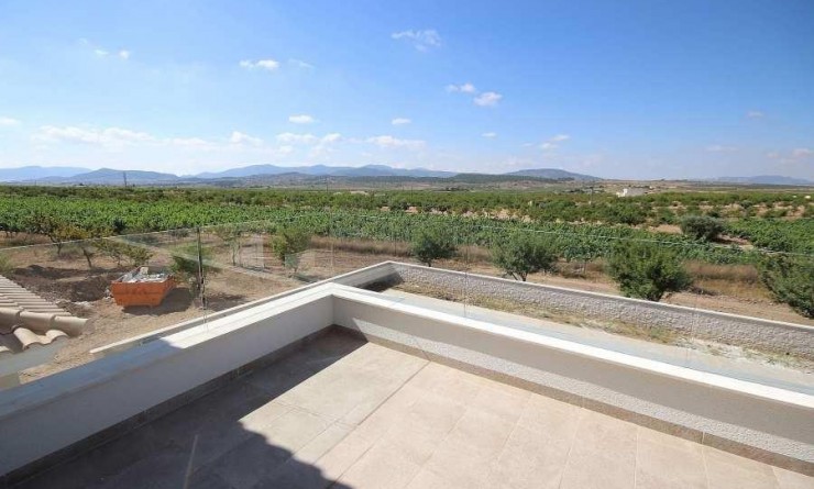 New Build - Villa - Pinoso - Camino Del Prado