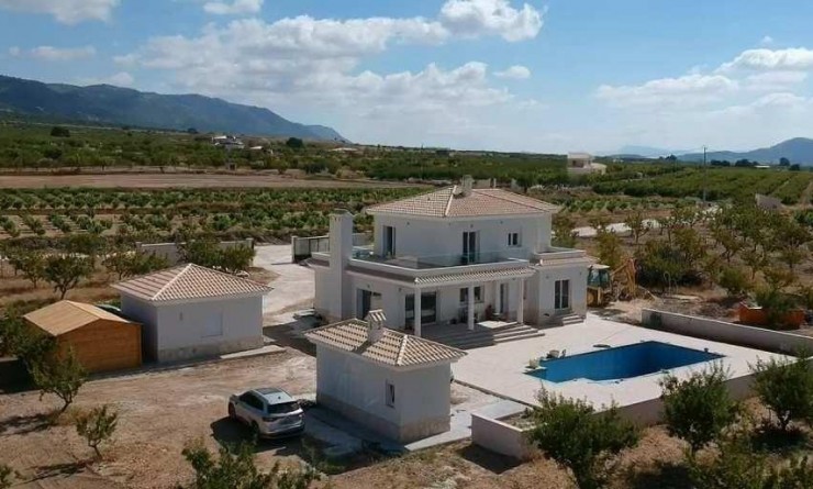 New Build - Villa - Pinoso - Camino Del Prado