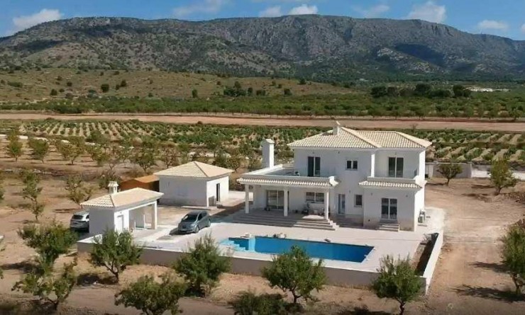 New Build - Villa - Pinoso - Camino Del Prado