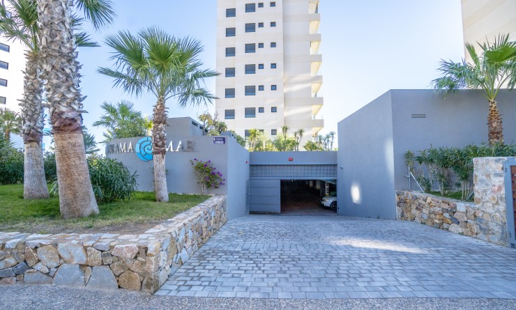 Sale - Penthouse - Torrevieja - Punta prima