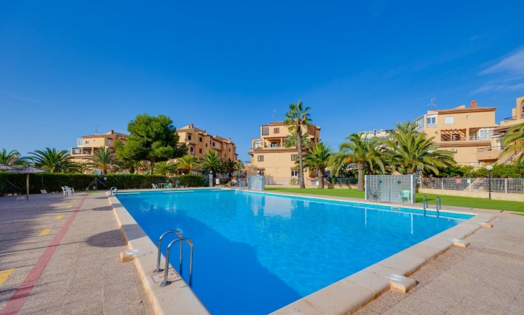 Wederverkoop - Estudio - Torrevieja - Torreblanca La Mata