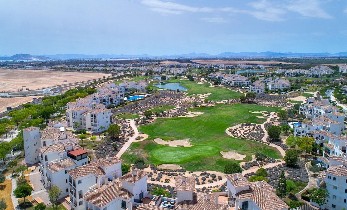 Nouvelle construction - Villa - Sucina