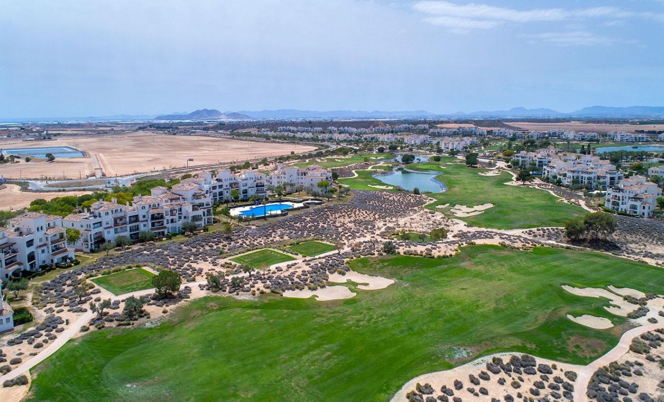 Nouvelle construction - Villa - Sucina