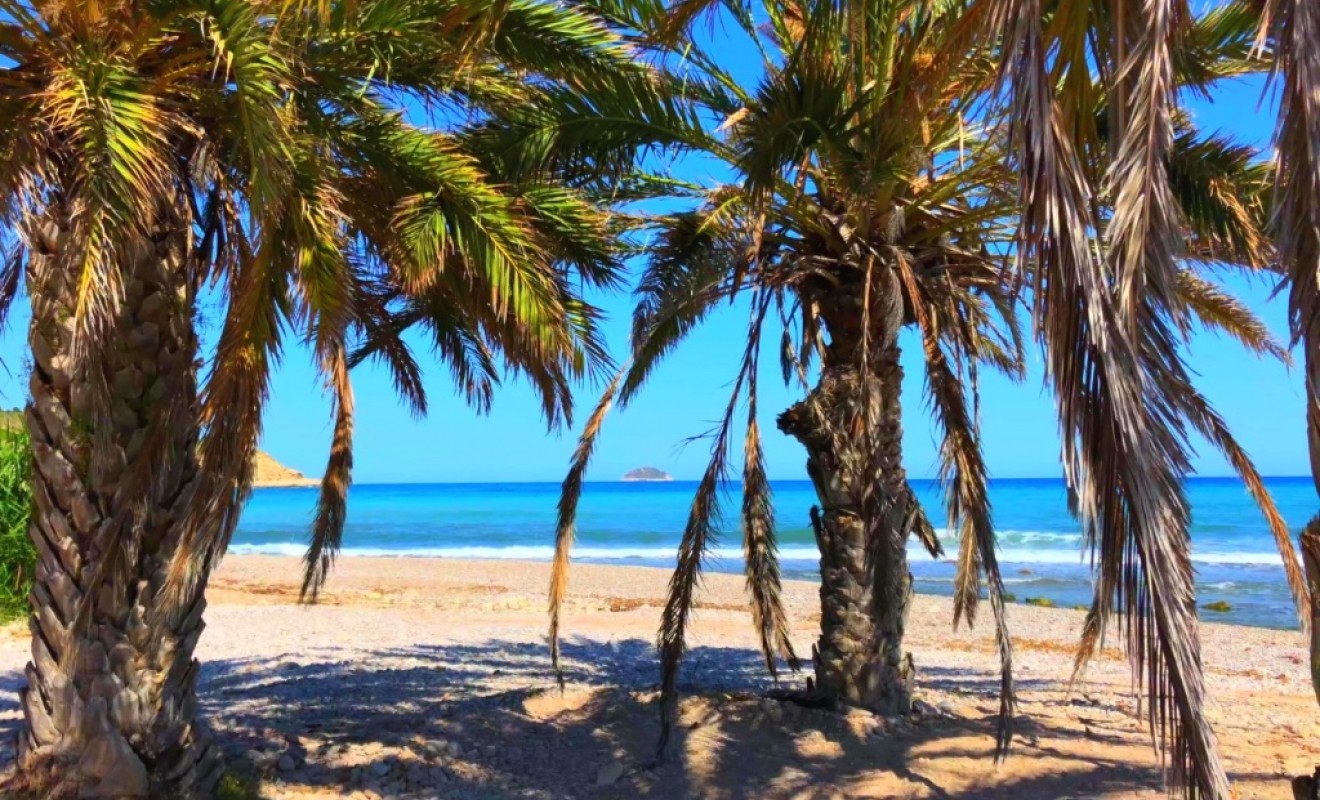 Nieuwbouw woningen - Appartement - Benidorm - Alicante