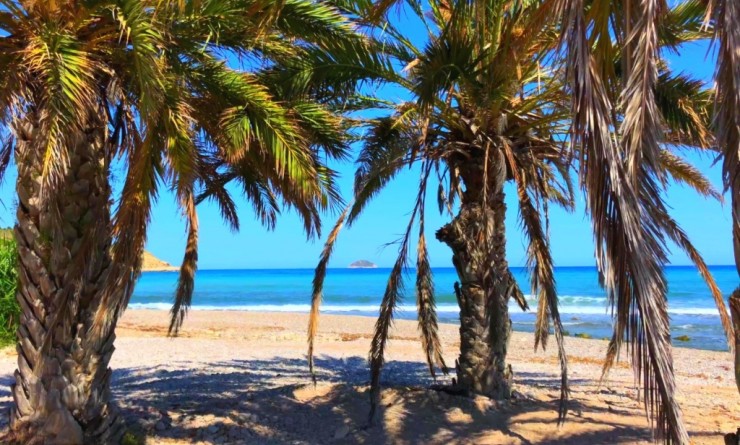 Nieuwbouw woningen - Appartement - Benidorm - Alicante