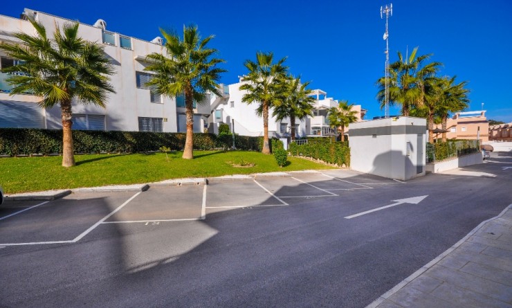 Revente - Appartement - Punta Prima