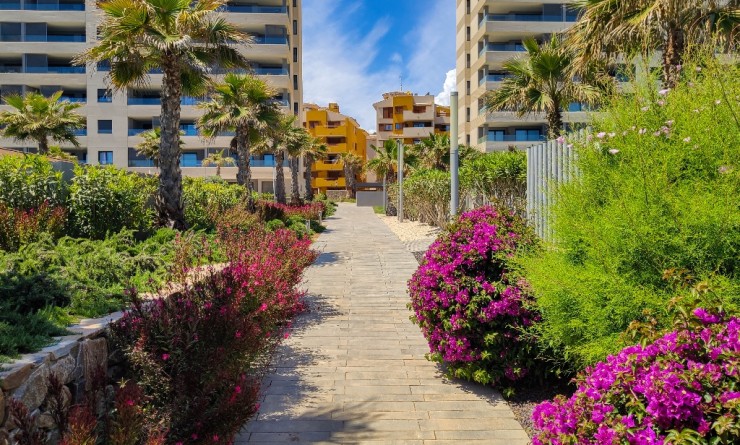 Korte termijn verhuur - Appartement - Punta Prima - Panorama Mar