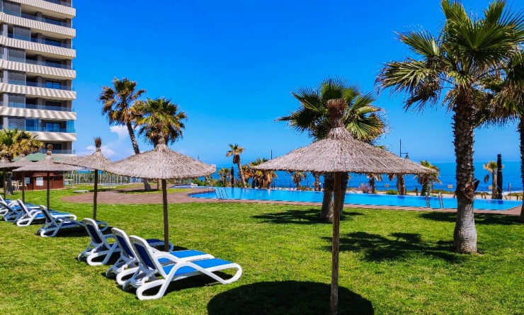 Korte termijn verhuur - Appartement - Punta Prima - Panorama Mar