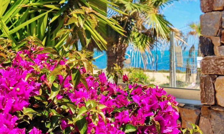 Korte termijn verhuur - Appartement - Punta Prima - Panorama Mar