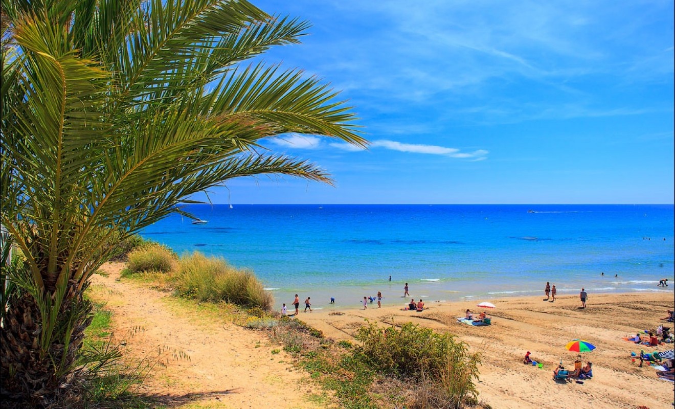 Nieuwbouw woningen - Villa - Cabo Roig