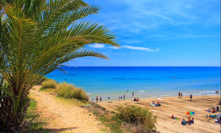 Nieuwbouw woningen - Villa - Cabo Roig