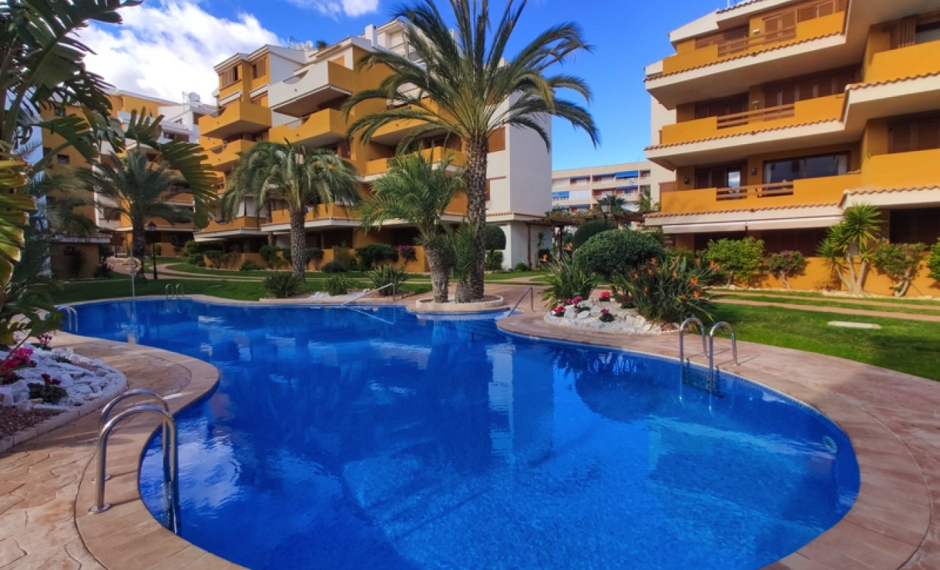 Korte termijn verhuur - Appartement - Punta Prima - La Entrada