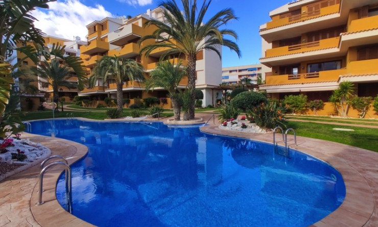 Korte termijn verhuur - Appartement - Punta Prima - La Entrada