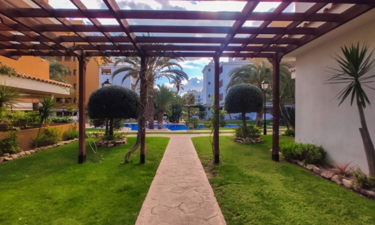 Korte termijn verhuur - Appartement - Punta Prima - La Entrada