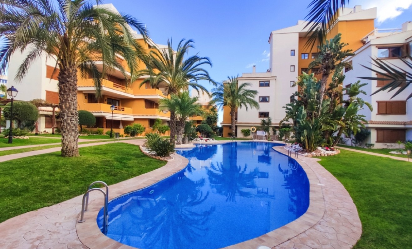 Korte termijn verhuur - Appartement - Punta Prima - La Entrada