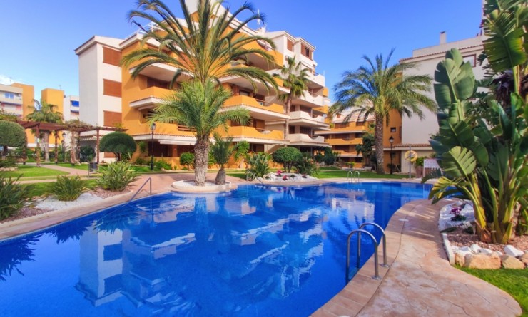 Korte termijn verhuur - Appartement - Punta Prima - La Entrada