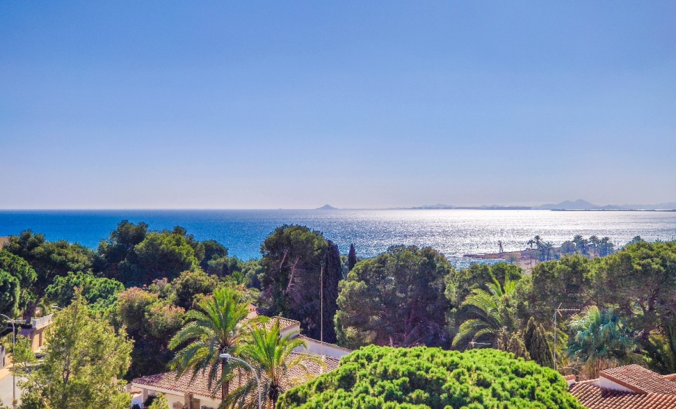 Nieuwbouw woningen - Villa - Dehesa de Campoamor