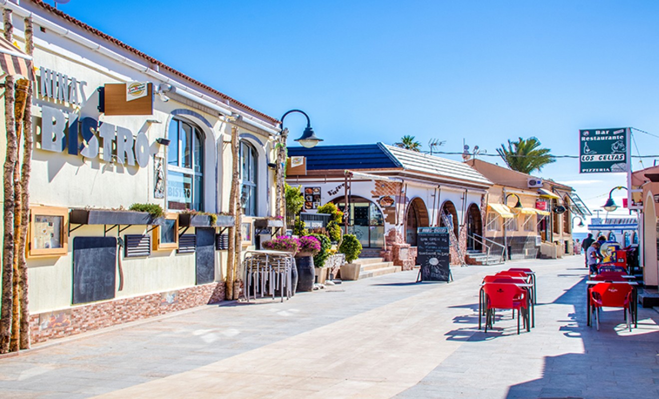 Sale - Villa - Pilar de la Horadada