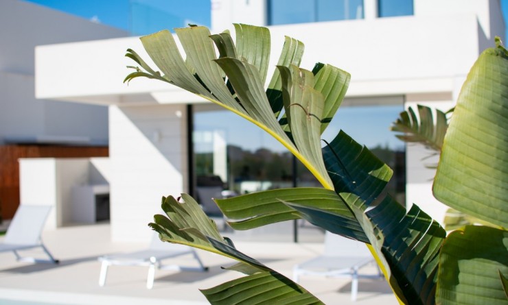 Nieuwbouw woningen - Villa - Los Montesinos - La Herada