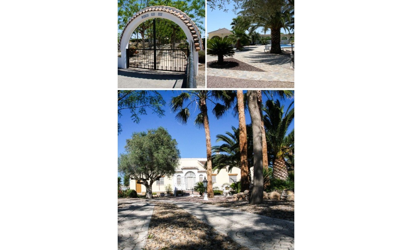 Wederverkoop - Finca Country Property - Daya Vieja