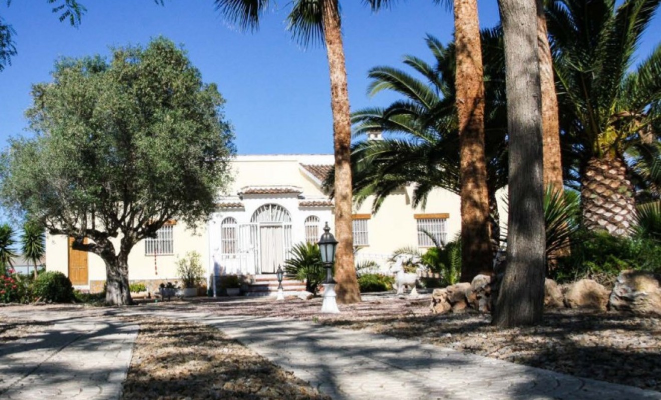 Wederverkoop - Finca Country Property - Daya Vieja