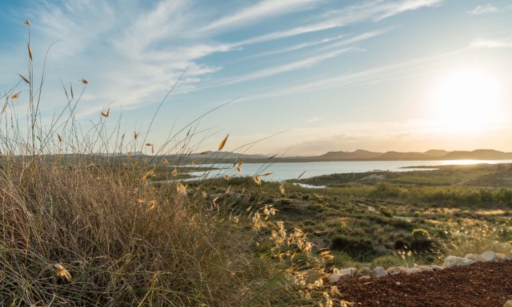 Wederverkoop - Villa - Costa Blanca - Orihuela Costa