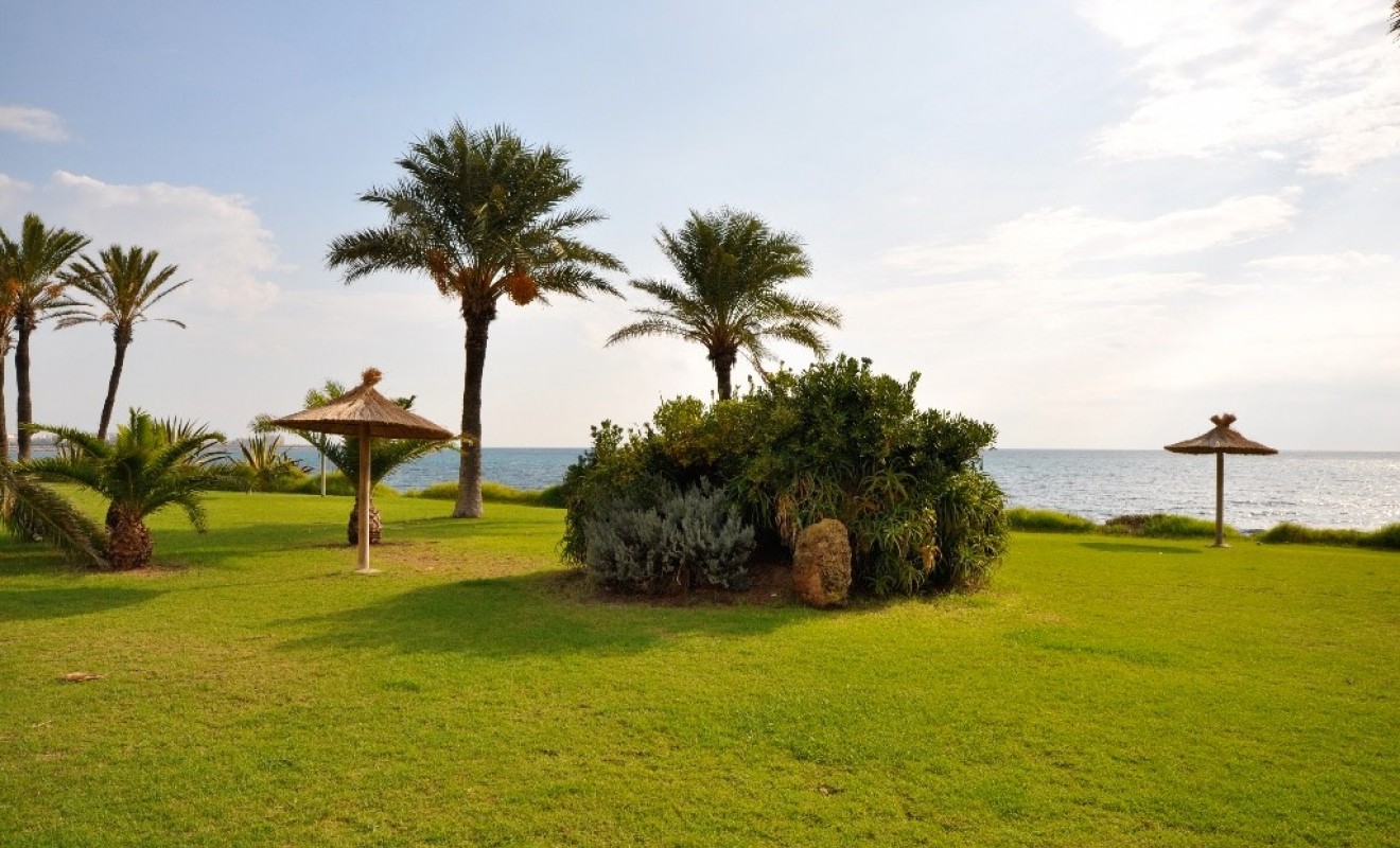 Nouvelle construction - Appartement - Torrevieja - torrevieja