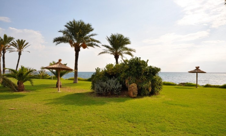 Nouvelle construction - Appartement - Torrevieja - torrevieja