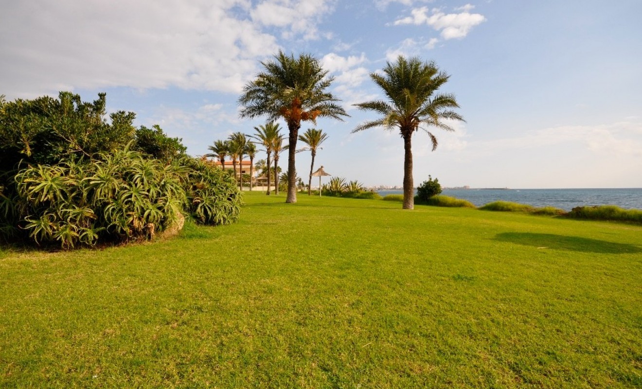 Nouvelle construction - Appartement - Torrevieja - torrevieja