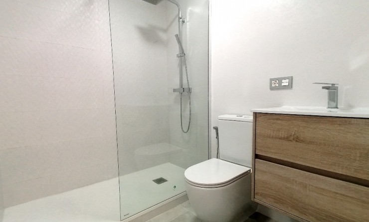 New Build - Villa - Torrevieja - torrevieja