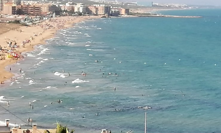 New Build - Villa - Torrevieja - torrevieja