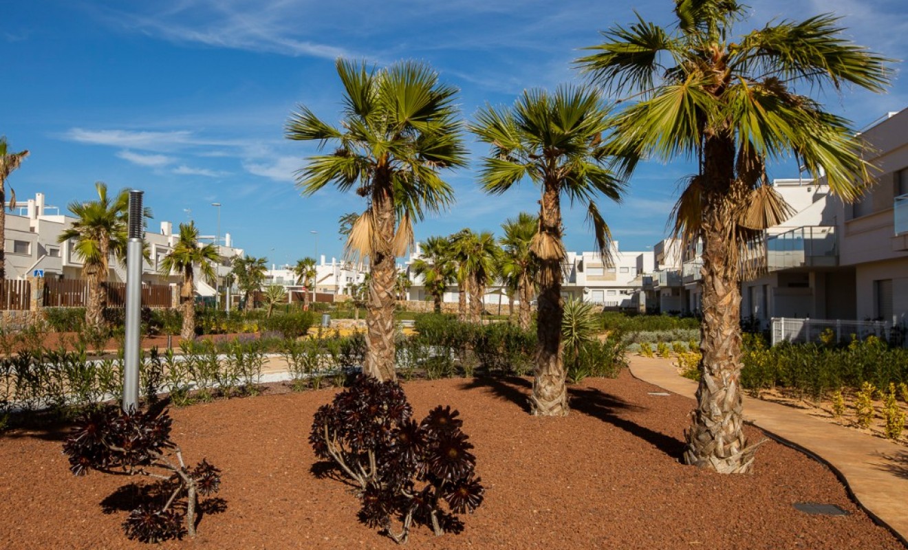 Nieuwbouw woningen - Appartement - Vistabella Golf - Vista Bella