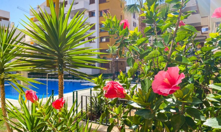 Korte termijn verhuur - Appartement - Punta Prima - La Recoleta