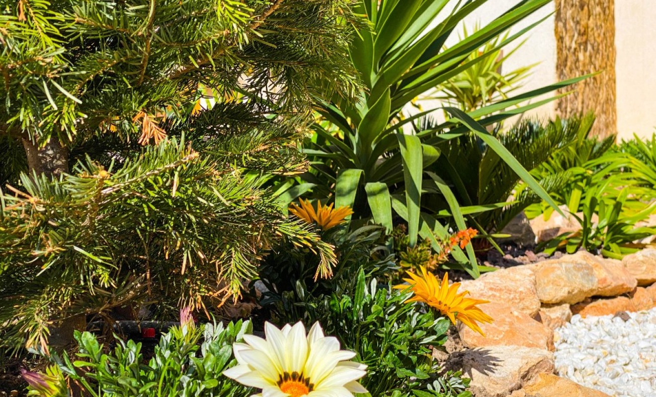 Korte termijn verhuur - Appartement - Punta Prima - La Recoleta