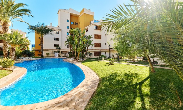 Korte termijn verhuur - Appartement - Punta Prima - La Entrada