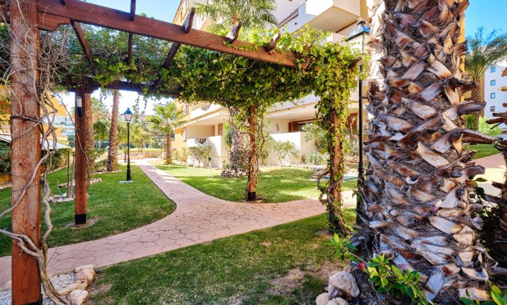 Korte termijn verhuur - Appartement - Punta Prima - La Entrada