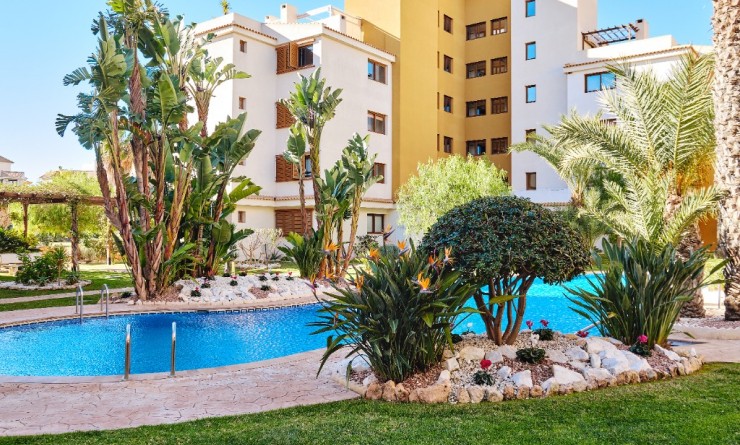 Korte termijn verhuur - Appartement - Punta Prima - La Entrada